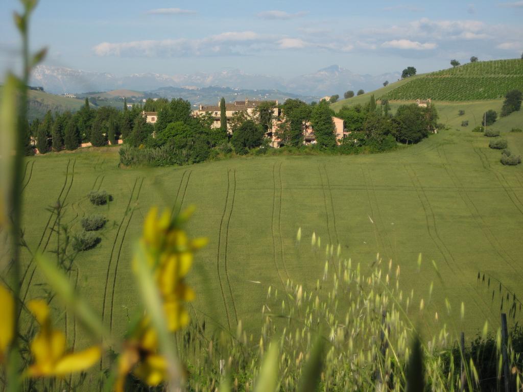 Agriturismo La Campana Villa Montefiore dellʼAso Exteriör bild